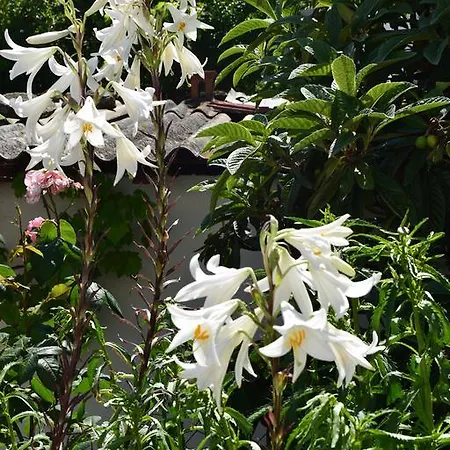 Nicola's House With Private Parking