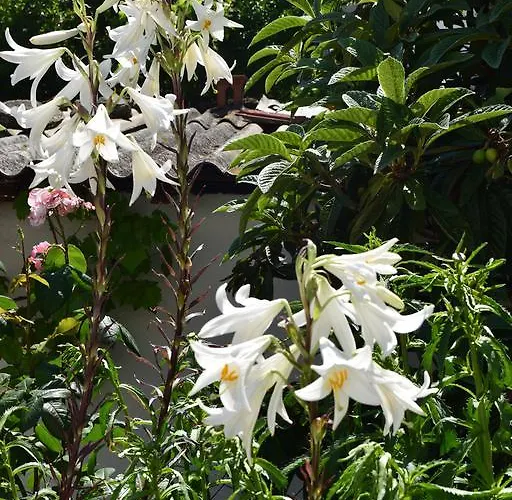 Nicola's House With Private Parking